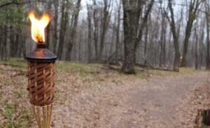 Burning torch on woodland path.