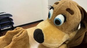 Brown dog mascot head and paws.