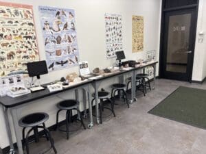 Classroom with geology and biology displays.