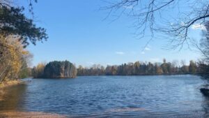 Serene lake view with autumn trees.