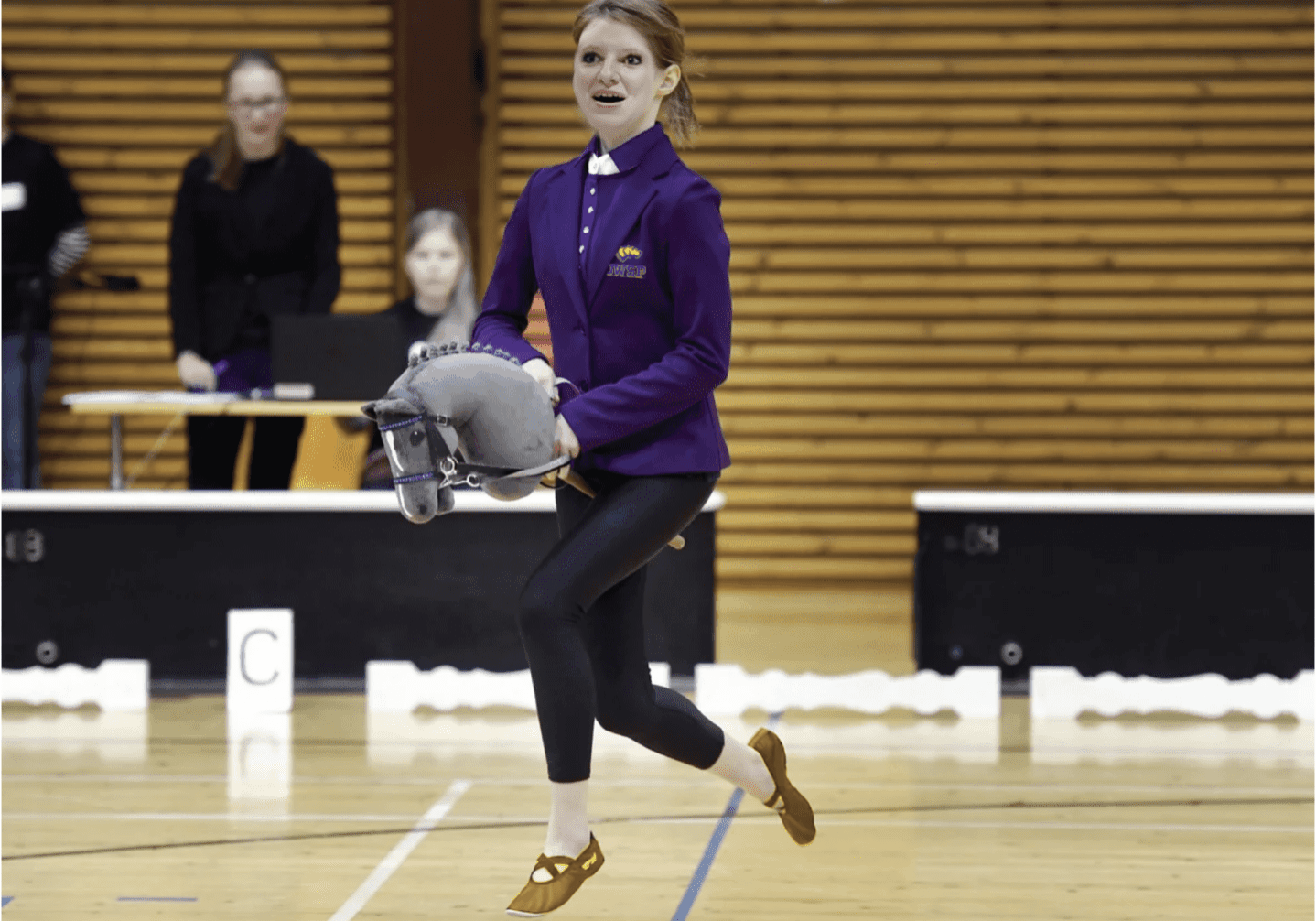 Person with hobby horse in indoor arena.