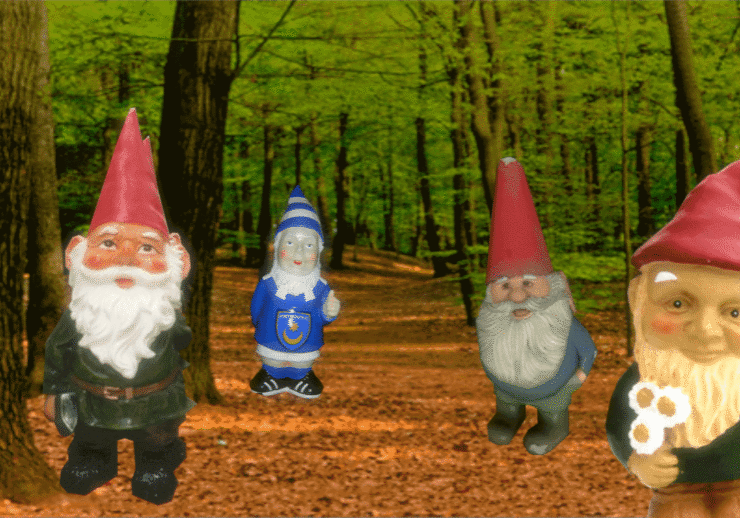 Red hatted gnomes lined along forest trail