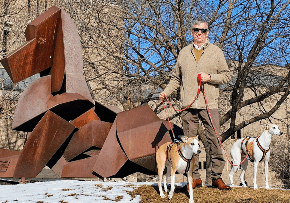 Man with two dogs near geometric sculpture.